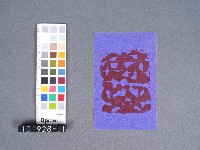 婆姐衣藏品圖，第1張