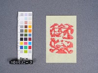 婆姐衣藏品圖，第1張