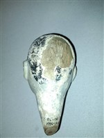 傀儡戲偶頭藏品圖，第2張