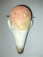 傀儡戲偶頭藏品圖，第2張