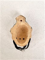 布袋戲臉譜藏品圖，第2張