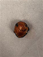 布袋戲臉譜藏品圖，第2張