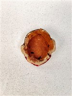 布袋戲臉譜藏品圖，第2張
