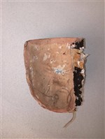 傀儡面具藏品圖，第2張