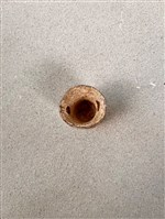 傀儡切末（杯子）藏品圖，第2張