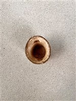 傀儡切末（杯子）藏品圖，第2張