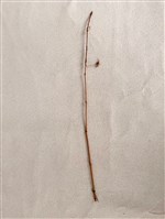 傀儡切末（釣魚竿）藏品圖，第2張