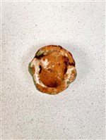 土黏香面具藏品圖，第2張