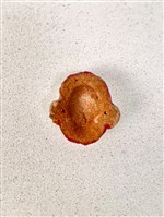 土黏香面具藏品圖，第2張