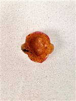 土黏香面具藏品圖，第2張