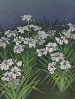 花語藏品圖，第1張