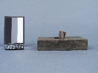 刨刀藏品圖，第2張