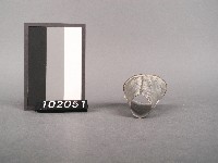 鐵皮灌斗藏品圖，第2張