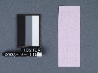 城隍廟籤詩藏品圖，第2張