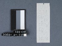 城隍廟籤詩藏品圖，第2張