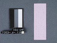 城隍廟籤詩藏品圖，第2張