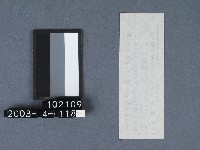 城隍廟籤詩藏品圖，第2張