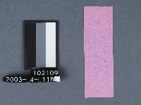 城隍廟籤詩藏品圖，第2張