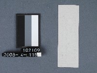 城隍廟籤詩藏品圖，第2張