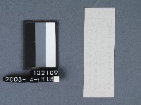 城隍廟籤詩藏品圖，第2張