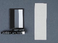 城隍廟籤詩藏品圖，第2張