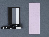 城隍廟籤詩藏品圖，第2張
