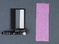 城隍廟籤詩藏品圖，第2張