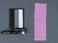 城隍廟籤詩藏品圖，第2張