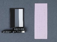城隍廟籤詩藏品圖，第2張
