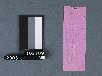 城隍廟籤詩藏品圖，第2張