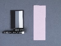 二結鎮安廟籤詩藏品圖，第2張
