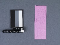 二結鎮安廟籤詩藏品圖，第2張