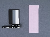 二結鎮安廟籤詩藏品圖，第2張