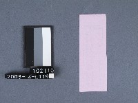 二結鎮安廟籤詩藏品圖，第2張