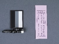 二結鎮安廟籤詩藏品圖，第1張