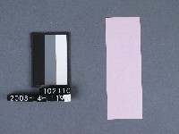 二結鎮安廟籤詩藏品圖，第2張