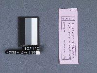 二結鎮安廟籤詩藏品圖，第1張