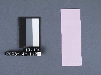 二結鎮安廟籤詩藏品圖，第2張