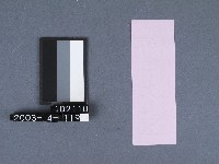 二結鎮安廟籤詩藏品圖，第2張