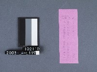 二結鎮安廟籤詩藏品圖，第2張