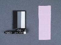 二結鎮安廟籤詩藏品圖，第2張