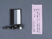 二結鎮安廟籤詩藏品圖，第1張