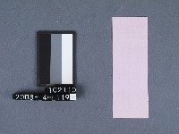 二結鎮安廟籤詩藏品圖，第2張