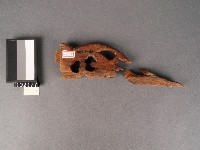 雕刻-木飾藏品圖，第1張