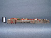 托木藏品圖，第2張