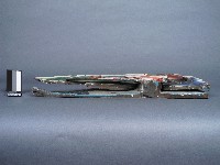 托木藏品圖，第2張