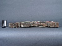 托木藏品圖，第2張