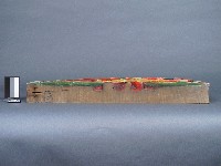 托木藏品圖，第2張