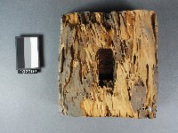 門印藏品圖，第3張