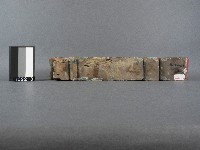 托木藏品圖，第2張